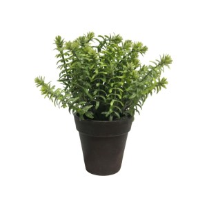 sg-0750-6 SUPERGREENS ΤΕΧΝΗΤΟ ΦΥΤΟ ΑΡΩΜΑΤΙΚΟ ΠΡΑΣΙΝΟ 23 ΕΚ.
