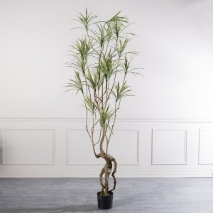 sg-0870-6 SUPERGREENS ΤΕΧΝΗΤΟ ΔΕΝΤΡΟ ΔΡΑΚΑΙΝΑ SANDERIANA ΠΡΑΣΙΝΟ 250 ΕΚ.