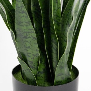 sg-0980-6 SUPERGREENS ΤΕΧΝΗΤΟ ΦΥΤΟ ΣΑΝΣΕΒΙΕΡΙΑ ROBUSTA ΠΡΑΣΙΝΟ 70 ΕΚ.