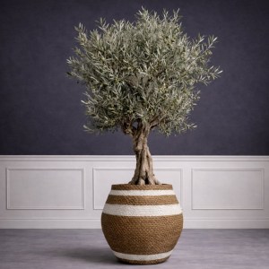 sg-1080-8 SUPERGREENS ΓΛΑΣΤΡΑ ΤΣΙΜΕΝΤΕΝΙΑ ΣΤΡΟΓΓΥΛΗ ″KYMA PITHOS″ ΔΙΧΡΩΜΗ 39X39X41 ΕΚ.