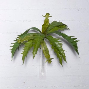 sg-1102-7 SUPERGREENS ΤΕΧΝΗΤΗ ΧΩΝΕΥΤΟ ΠΛΑΤΥΚΕΡΙΟ ΠΡΑΣΙΝΟ 57 ΕΚ.