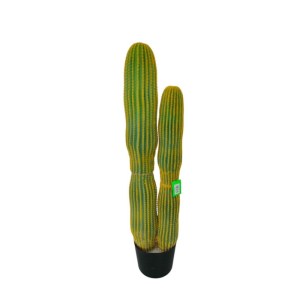 sg-1131-6 SUPERGREENS ΤΕΧΝΗΤΟ ΦΥΤΟ ΚΑΚΤΟΣ ″DOUBLE″ ΠΡΑΣΙΝΟ 127 ΕΚ.