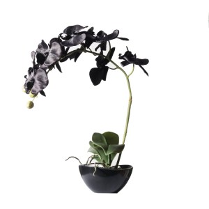 sg-1170-6 SUPERGREENS ΤΕΧΝΗΤΟ ΦΥΤΟ ΟΡΧΙΔΕΑ PHALAENOPSIS REAL TOUCH ΜΑΥΡΗ ΜΕ ΚΑΣΠΩ 48 ΕΚ.