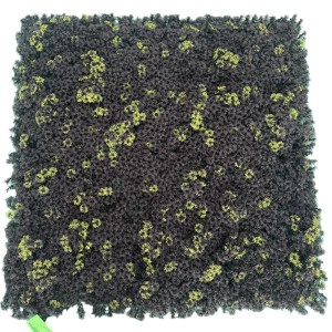 sg-1202-7 SUPERGREENS ΤΕΧΝΗΤΗ ΦΥΛΛΩΣΙΑ MOSS ″OMBRA CHIARA″ ΜΑΥΡΗ 100X100 ΕΚ.