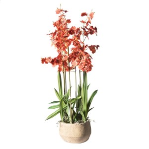 sg-1270-6 SUPERGREENS ΤΕΧΝΗΤΟ ΦΥΤΟ ΟΡΧΙΔΕΑ ONCIDIUM ΚΟΚΚΙΝΗ ΜΕ ΚΑΣΠΩ 90 ΕΚ.