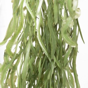 sg-1391-7 SUPERGREENS ΤΕΧΝΗΤΟ ΚΡΕΜΑΣΤΟ ΧΟΡΤΑΡΙ ″FULVUS″ ΠΡΑΣΙΝΟ 90 ΕΚ.