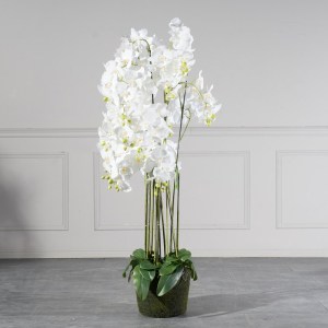 sg-1401-6 SUPERGREENS ΤΕΧΝΗΤΟ ΦΥΤΟ ΟΡΧΙΔΕΑ PHALAENOPSIS ΛΕΥΚΟ 153 ΕΚ.
