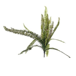 sg-1651-7 SUPERGREENS ΤΕΧΝΗΤΗ ΧΩΝΕΥΤΗ ΦΤΕΡΗ BOSTON ΠΡΑΣΙΝΗ 72 ΕΚ.