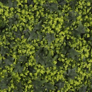sg-1781-7 SUPERGREENS ΤΕΧΝΗΤΗ ΦΥΛΛΩΣΙΑ ΠΥΞΑΡΙ ΜΕ ΚΙΣΣΟ 50X50 ΕΚ.