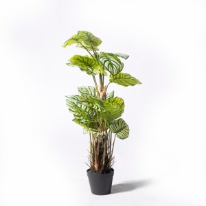 sg-1821-6 SUPERGREENS ΤΕΧΝΗΤΟ ΦΥΤΟ ΚΑΛΑΘΕΑ ORBIFOLIA ΠΡΑΣΙΝΟ 90 ΕΚ.