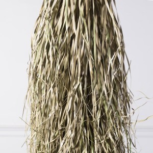 sg-2001-6 SUPERGREENS ΤΕΧΝΗΤΟ ΦΥΤΟ ΓΙΟΥΚΑ ″ROSTRATA″ ΠΡΑΣΙΝΟ 210 ΕΚ.