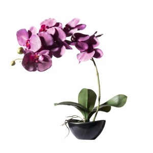 sg-2170-6 SUPERGREENS ΤΕΧΝΗΤΟ ΦΥΤΟ ΟΡΧΙΔΕΑ PHALAENOPSIS REAL TOUCH ΜΩΒ ΜΕ ΚΑΣΠΩ 48 ΕΚ.