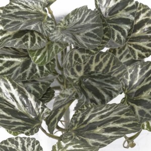 sg-2251-7 SUPERGREENS ΤΕΧΝΗΤΗ ΚΡΕΜΑΣΤΗ ΣΑΞΙΦΡΑΓΚΑ SARMENTOSA ΠΡΑΣΙΝΟ 43 ΕΚ.