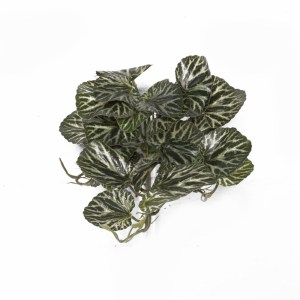 sg-2251-7 SUPERGREENS ΤΕΧΝΗΤΗ ΚΡΕΜΑΣΤΗ ΣΑΞΙΦΡΑΓΚΑ SARMENTOSA ΠΡΑΣΙΝΟ 43 ΕΚ.