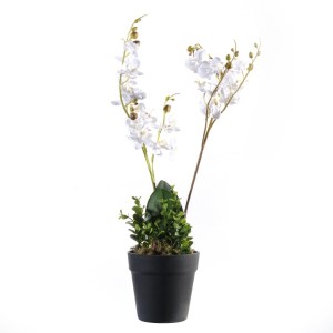 sg-2670-6 SUPERGREENS ΤΕΧΝΗΤΟ ΦΥΤΟ ΟΡΧΙΔΕΑ PHALAENOPSIS ΛΕΥΚΟ 50 ΕΚ.