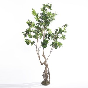 sg-2770-6 SUPERGREENS ΤΕΧΝΗΤΟ ΔΕΝΤΡΟ ΦΙΚΟΣ GINSENG ΠΡΑΣΙΝΟ 250 ΕΚ.