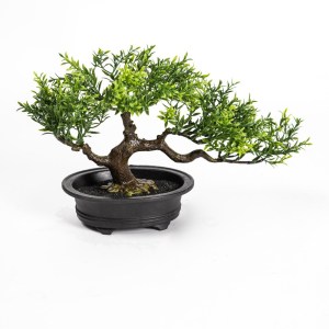 sg-3080-6 SUPERGREENS ΤΕΧΝΗΤΟΣ ΜΠΟΝΣΑΙ ΦΙΚΟΣ TAIWAN ΠΡΑΣΙΝΟ 35X15 ΕΚ.