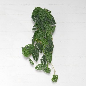 sg-3091-7 SUPERGREENS ΤΕΧΝΗΤΗ ΚΡΕΜΑΣΤΗ ΜΟΝΣΤΕΡΑ ″ADANSONII″ ΠΡΑΣΙΝΗ 85 ΕΚ.