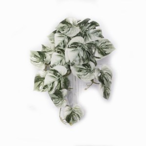 sg-3251-7 SUPERGREENS ΤΕΧΝΗΤΗ ΚΡΕΜΑΣΤΗ ΜΟΝΣΤΕΡΑ ALBO VARIEGATA ΠΡΑΣΙΝΗ 45 ΕΚ.