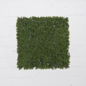 sg-3281-7 SUPERGREENS ΤΕΧΝΗΤΗ ΦΥΛΛΩΣΙΑ ΦΤΕΡΗ ″CINNAMON″ ΠΡΑΣΙΝΗ 50X50 ΕΚ.