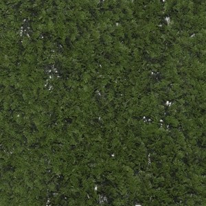 sg-3281-7 SUPERGREENS ΤΕΧΝΗΤΗ ΦΥΛΛΩΣΙΑ ΦΤΕΡΗ ″CINNAMON″ ΠΡΑΣΙΝΗ 50X50 ΕΚ.