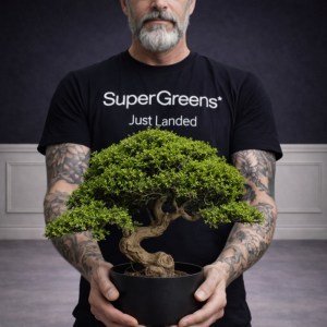 sg-3331-6 SUPERGREENS ΤΕΧΝΗΤΟ ΦΥΤΟ ΜΠΟΝΣΑΙ ΠΕΥΚΟ ″MINI ZEN″ ΠΡΑΣΙΝΟ 70 ΕΚ.