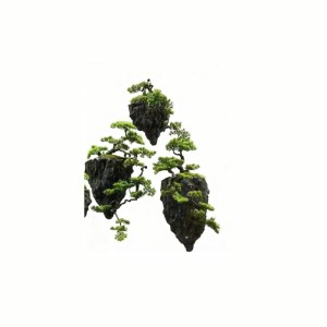 sg-3412-7 SUPERGREENS ΤΕΧΝΗΤΟ ΚΡΕΜΑΣΤΟ ΜΠΟΝΣΑΙ ΠΕΥΚΟ ΣΕ ΠΕΤΡΑ ″SKY ROOT″ ΠΡΑΣΙΝΟ 70 ΕΚ.