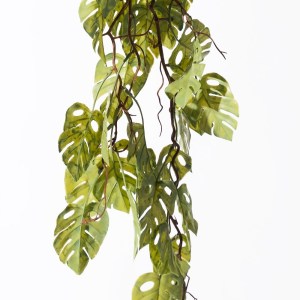 sg-3561-7 SUPERGREENS ΤΕΧΝΗΤΗ ΚΡΕΜΑΣΤΗ ΜΟΝΣΤΕΡΑ ΠΡΑΣΙΝΗ ΑΝΟΙΧΤΗ 105 ΕΚ.