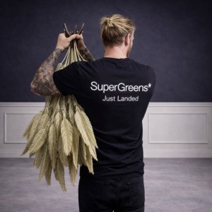 sg-3712-7 SUPERGREENS ΤΕΧΝΗΤΗ ΧΩΝΕΥΤΗ ΦΤΕΡΗ ″IVORY FERN″ ΕΚΡΟΥ 38 ΕΚ.