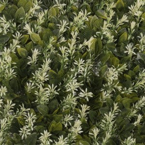 sg-3781-7 SUPERGREENS ΤΕΧΝΗΤΗ ΦΥΛΛΩΣΙΑ MOSS HYLOCONIUM 50X50 ΕΚ.