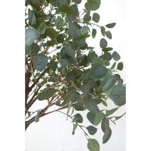 sg-3811-6 SUPERGREENS ΤΕΧΝΗΤΟ ΔΕΝΤΡΟ ΠΑΧΙΡΑ ″AUREUM″ ΠΡΑΣΙΝΟ 200 ΕΚ.