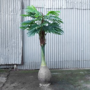 sg-4090-6 SUPERGREENS ΤΕΧΝΗΤΟ ΔΕΝΤΡΟ ΚΟΚΟΦΟΙΝΙΚΑΣ ΠΡΑΣΙΝΟ 250 ΕΚ.