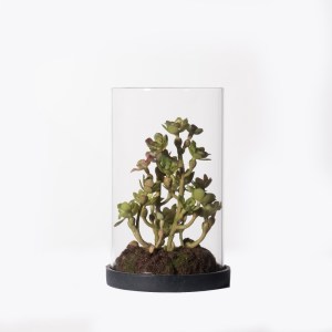 sg-4260-6 SUPERGREENS ΤΕΧΝΗΤΟ ΦΥΤΟ ΣΕΝΤΟΥΜ CAUTICOLA ΠΡΑΣΙΝΟ 15 ΕΚ.