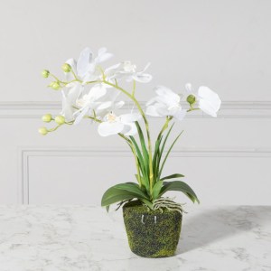 sg-4301-6 SUPERGREENS ΤΕΧΝΗΤΟ ΦΥΤΟ ΟΡΧΙΔΕΑ PHALAENOPSIS ΛΕΥΚΟ 42 ΕΚ.
