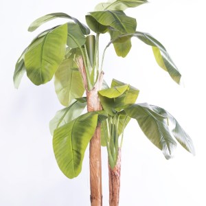 sg-4411-6 SUPERGREENS ΤΕΧΝΗΤΟ ΔΕΝΤΡΟ ΜΠΑΝΑΝΙΑ ″MUSA ARBOR″ ΜΕ ΔΙΠΛΟ ΚΟΡΜΟ ΠΡΑΣΙΝΟ 200 ΕΚ.