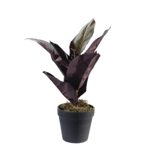 sg-4670-6 SUPERGREENS ΤΕΧΝΗΤΟ ΦΥΤΟ ΦΙΚΟΣ ELASTICA RUBY ΠΡΑΣΙΝΟ 36 ΕΚ.
