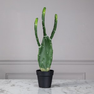 sg-4780-6 SUPERGREENS ΤΕΧΝΗΤΟ ΦΥΤΟ ΦΡΑΓΚΟΣΥΚΙΑ SKINNERS ΠΡΑΣΙΝΟ 64 ΕΚ.