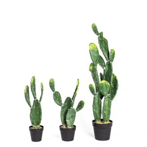 sg-4780-6 SUPERGREENS ΤΕΧΝΗΤΟ ΦΥΤΟ ΦΡΑΓΚΟΣΥΚΙΑ SKINNERS ΠΡΑΣΙΝΟ 64 ΕΚ.