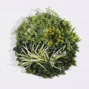 sg-4781-7 SUPERGREENS ΤΕΧΝΗΤΗ ΦΥΛΛΩΣΙΑ ΚΑΛΑΜΟΣ ΜΕ MOSS D:50 ΕΚ.