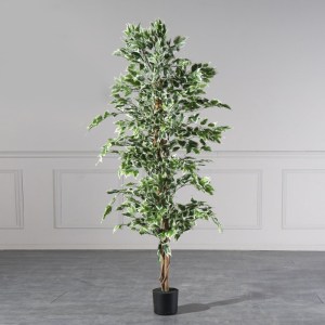 sg-4801-6 SUPERGREENS ΤΕΧΝΗΤΟ ΔΕΝΤΡΟ ΦΙΚΟΣ ″BENJAMINA VARIEGATA″ ΠΡΑΣΙΝΟ 180 ΕΚ.