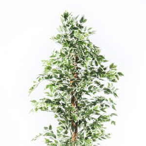 sg-4801-6 SUPERGREENS ΤΕΧΝΗΤΟ ΔΕΝΤΡΟ ΦΙΚΟΣ ″BENJAMINA VARIEGATA″ ΠΡΑΣΙΝΟ 180 ΕΚ.