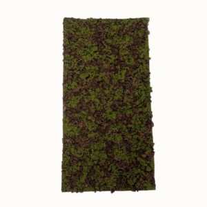 sg-4991-7 SUPERGREENS ΤΕΧΝΗΤΗ ΦΥΛΛΩΣΙΑ MOSS ″GAIA″ ΠΡΑΣΙΝΟ ΜΕ ΜΑΥΡΟ 50X100 ΕΚ.