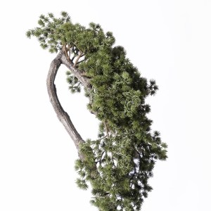 sg-5090-6 SUPERGREENS ΤΕΧΝΗΤΟ ΦΥΤΟ ΠΕΥΚΟ ΜΠΟΝΣΑΙ ΠΡΑΣΙΝΟ 65 ΕΚ.