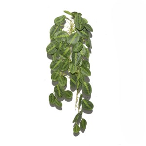 sg-5091-7 SUPERGREENS ΤΕΧΝΗΤΗ ΚΡΕΜΑΣΤΗ ΚΑΛΑΘΕΑ ″ZEBRINA″ ΠΡΑΣΙΝΗ 85 ΕΚ.