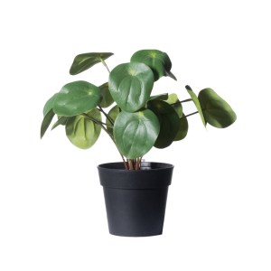 sg-5160-6 SUPERGREENS ΤΕΧΝΗΤΟ ΦΥΤΟ ΠΕΠΕΡΟΜΙΑ ABBREVIATA ΠΡΑΣΙΝΟ 22 CM.