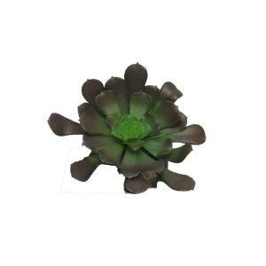 sg-5201-7 SUPERGREENS ΤΕΧΝΗΤΟ ΧΩΝΕΥΤΟ ΠΑΧΥΦΥΤΟ ΚΑΦΕ 10 ΕΚ.