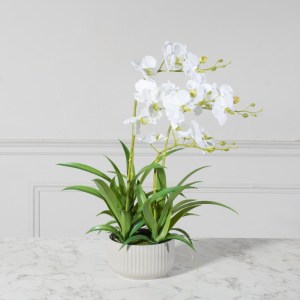 sg-5401-6 SUPERGREENS ΤΕΧΝΗΤΟ ΦΥΤΟ ΟΡΧΙΔΕΑ PHALAENOPSIS ΛΕΥΚΟ 60 ΕΚ.