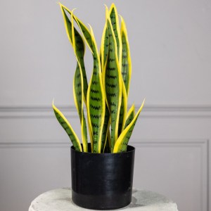 sg-5840-6 SUPERGREENS ΤΕΧΝΗΤΟ ΦΥΤΟ ΣΑΝΣΕΒΙΕΡΑ TRIFASCIATA ΠΡΑΣΙΝΟ 45 ΕΚ.