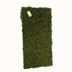 sg-5991-7 SUPERGREENS ΤΕΧΝΗΤΗ ΦΥΛΛΩΣΙΑ MOSS ″PEACE″ ΠΡΑΣΙΝΗ 50X100 ΕΚ.