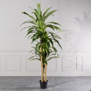 sg-6211-6 SUPERGREENS ΤΕΧΝΗΤΟ ΔΕΝΤΡΟ ΔΡΑΚΑΙΝΑ ″GIANT″ ΠΡΑΣΙΝΟ 240 ΕΚ.